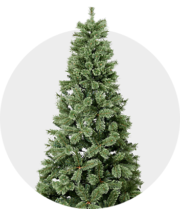 Shop Christmas Trees 
